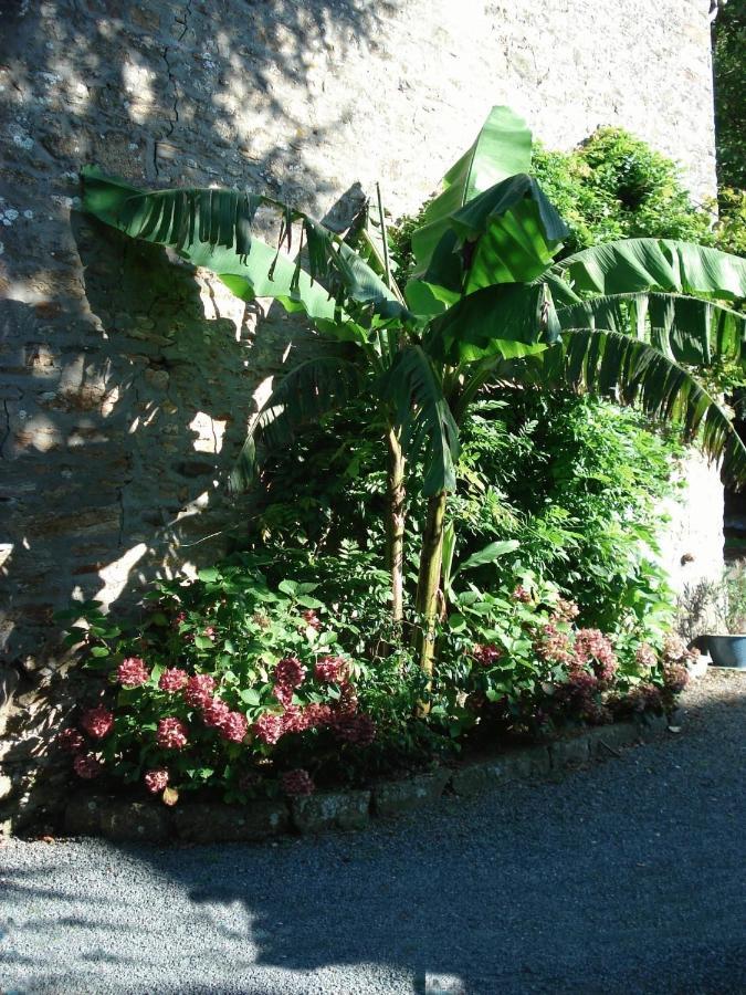 Le Clos Des Tilleuls La Vendelée Extérieur photo